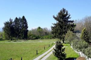 uma estrada num campo com uma árvore no meio em Cascina in Alto Piemonte / Piedmont countryhouse em Lozzolo