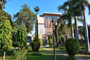 木爾坦的住宿－Faletti's Grand Hotel Multan，棕榈树公园和建筑