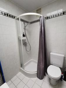 オーステンデにあるVakantieaanzee21の白いバスルーム(シャワー、トイレ付)