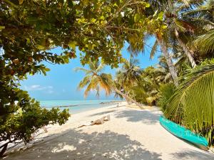 una playa con palmeras y un barco azul. en Veli Beach Inn, en Mathiveri 78 fotos más