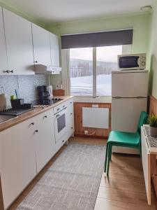 Kuchyň nebo kuchyňský kout v ubytování Arctic Colors Northern Lights Apartments