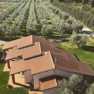 una vista aérea de una casa frente a un viñedo en Agriturismo Il Puntoncino en Marsiliana