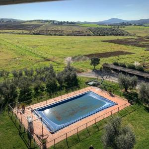 The swimming pool at or close to Agriturismo Il Puntoncino