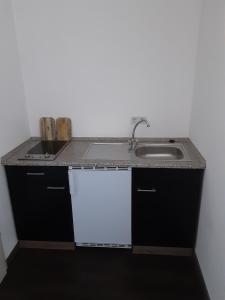 eine Küche mit einer Spüle und einer Arbeitsplatte in der Unterkunft Pension Assmann in Langenbruck