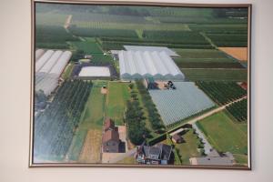 une vue aérienne sur une ferme avec des citernes blanches dans l'établissement Juwel Fruithof, à Zepperen
