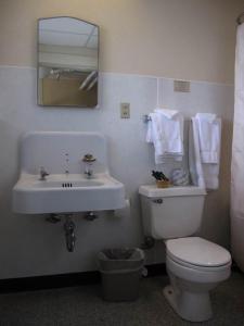 a bathroom with a toilet and a sink and a mirror at Glacier Park Lodge in East Glacier Park