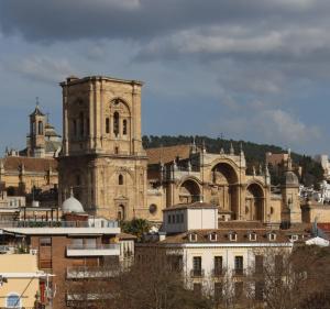 an old cathedral and buildings in a city at Hotel Reina Cristina in Granada