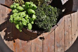 A garden outside Pet and Breakfast Pet Friendly Country House
