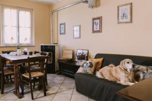 A seating area at Pet and Breakfast Pet Friendly Country House