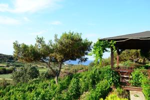 Paesaggio naturale nelle vicinanze dell'hotel