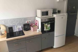 a kitchen with a counter with a microwave and a refrigerator at Le XV in Nancy