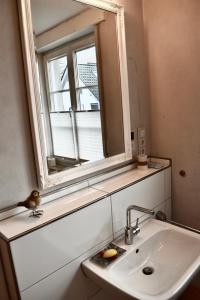 La salle de bains est pourvue d'un lavabo et d'un miroir. dans l'établissement "Elter-Emskotten", à Rheine