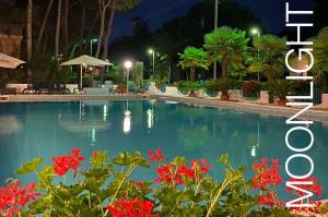 Bazén v ubytování Hotel Olympia nebo v jeho okolí