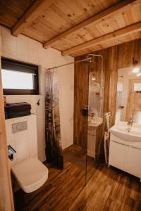 La salle de bains est pourvue d'une douche, de toilettes et d'un lavabo. dans l'établissement Osada Krasne - Noclegi Blisko Natury, à Bukowiec