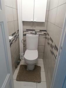 ein Bad mit einem WC, einem Spiegel und einem Teppich in der Unterkunft SWEET Appartment avec Wifi et parking in Clermont-Ferrand