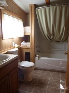 a bathroom with a toilet and a tub and a sink at Riverbend Resort in South Fork +72 photos