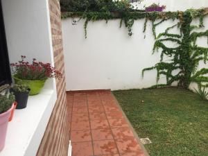 El oasis في Saladillo: على بعد خطوات جانبية من النباتات على جدار أبيض