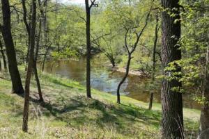 Зображення з фотогалереї помешкання Wisconsin Dells Cabin in the Woods - VLD0423 у місті Вісконсин-Деллс