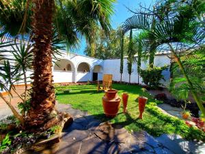 Zahrada ubytování Tlaquepaque Pueblito