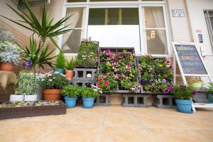 Zahrada ubytování Square B&B