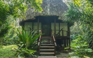 a small house in the middle of a forest at The Barefoot At Havelock in Havelock Island