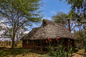 Building kung saan naroon ang lodge