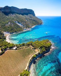 Gallery image of SEA HOME vue mer in Cassis