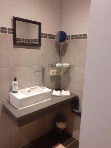 bagno con lavandino e specchio di Wenceslas cobergher appartement I a Boutersem