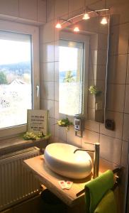 a bathroom with a white sink and a mirror at Antjes kleines Nest in Tröstau
