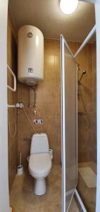 a small bathroom with a toilet and a shower at Villa Rolla in Tivat +39 photos