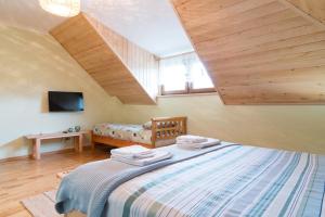 a bedroom with a large bed and a television at Nadwiślańskie Gniazdo in Lucimia