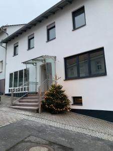 Un albero di Natale davanti a un edificio bianco di Pension Am Amtsgericht a Eiterfeld