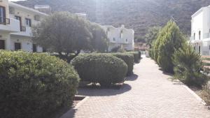 una fila de arbustos y árboles en una calle en Hotel Orama-Matala en Matala