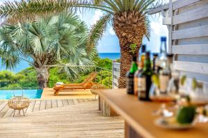 d'une terrasse avec vue sur l'océan et les palmiers. dans l'établissement Villa du Cap 5 étoiles piscine et vue mer exceptionnelle, à Sainte-Anne