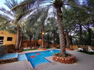a resort with palm trees and a swimming pool at ALBERI LODGE in Hatta