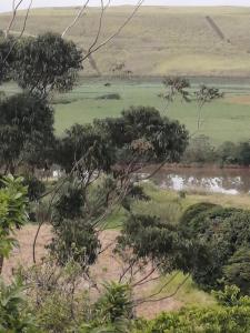 una vista desde la cima de una colina con árboles en Serendipity Country House, en Amanzimtoti