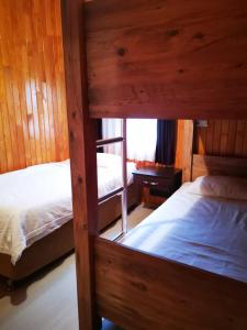 two bunk beds in a room with wooden walls at Cirali Zakkum Bungalow in Cıralı