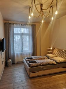 ein Schlafzimmer mit einem großen Bett und einem Fenster in der Unterkunft Apartament z Widokiem in Władysławowo