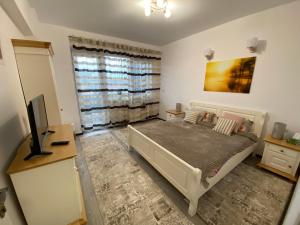 a bedroom with a bed and a desk and a television at Top View Apartment in Suceava