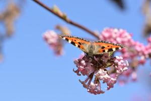 Φωτογραφία από το άλμπουμ του Centro Arte Cabbiolo σε Cabbiolo +19 φωτογραφίες