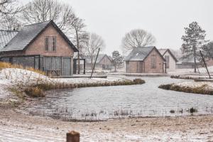 冬天的Ridderstee Ouddorp Duin