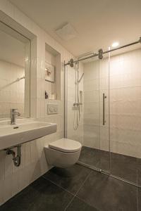 La salle de bains est pourvue de toilettes, d'un lavabo et d'une douche. dans l'établissement Main train station apartment close to the the Main Square!, à Prague