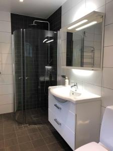 ein Bad mit einer Dusche, einem Waschbecken und einem Spiegel in der Unterkunft Björsjödal Lake House's in Göteborg