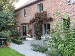 Zahrada ubytování B&B Hedera