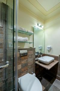 SālāsarAnand Bagh Resort & Spa by Ananta的配有马桶、淋浴和水槽的浴室