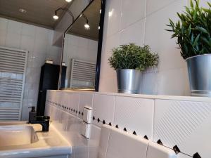 a bathroom with two sinks and two potted plants at Holiday Home in Quiet Beautiful Area With Two Separate, Modern, Furnished Apartments in Deutsch-Wagram +49 photos