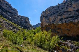 - Vistas a un cañón con árboles y rocas en Casa de la abuela digit@l, en Martín del Río