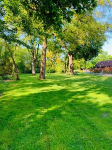 a green field with trees in a park at Luxury Cottage & Spa in Guildford
