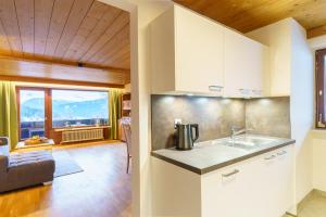 Kuchyň nebo kuchyňský kout v ubytování Apartmenthaus Jagdhof