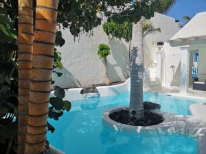コラレホにあるVilla lujo tranquila con piscina a 5 min playaのスイミングプール中のヤシの木